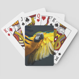 Bunter Fliegen Ara auf einem dunklen Hintergrund Spielkarten
