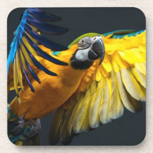 Bunter Fliegen Ara auf einem dunklen Hintergrund Untersetzer