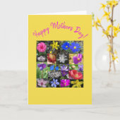 bunter Frühling - Karte (Gelbe Blume)