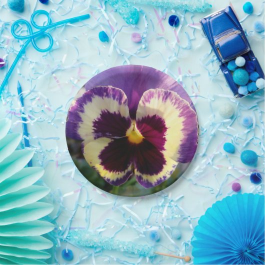 bunter Frühling Pansy Pappteller (Party)