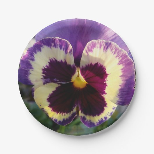 bunter Frühling Pansy Pappteller (Vorderseite)