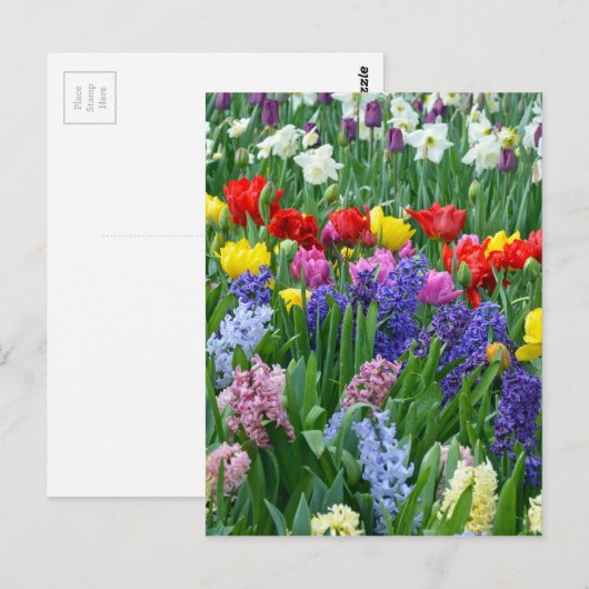 Bunter Frühlings-Blumengarten Postkarte (Vorne/Hinten)