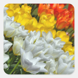Bunter Frühlingstulpeaufkleber Quadratischer Aufkleber
