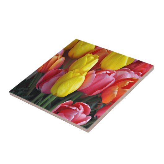Bunter Frühlingstulpeblumenstrauß Fliese (Seite)