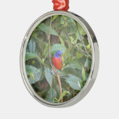 Bunter gemalter mit dem Kopfe stoßender Vogel Silbernes Ornament (Links)