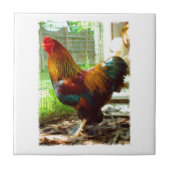 Bunter Hahn Fliese (Vorderseite)