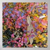 bunter Herbst Poster (Vorne)