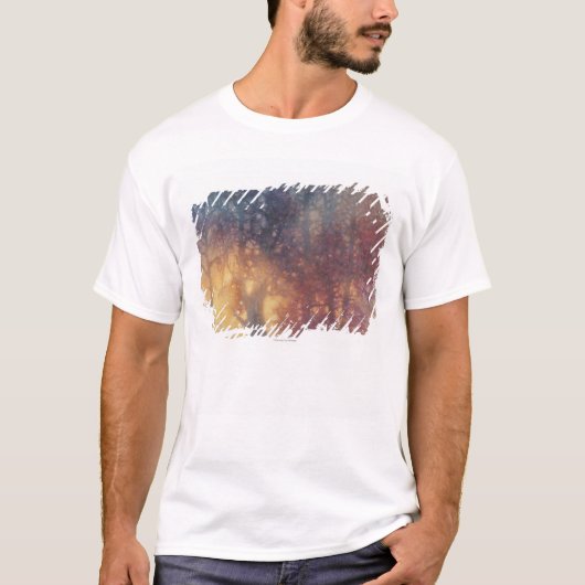 Bunter Herbst T-Shirt (Vorderseite)
