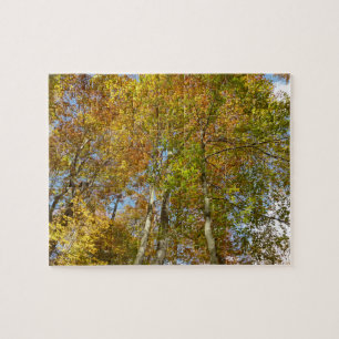 Bunter Herbstlaub III Blick nach oben in die Herbs Puzzle