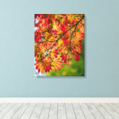 Bunter Herbstlaub wickelte Leinwand ein (Insitu (Holzboden))