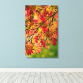 Bunter Herbstlaub wickelte Leinwand ein (Insitu (Holzboden))