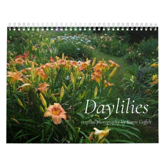 Bunter hybrider Dayliles Hemerocallis Kalender (Titelbild)