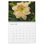 Bunter hybrider Dayliles Hemerocallis Kalender (Jan 2027)