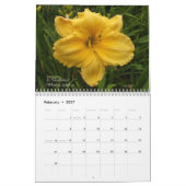 Bunter hybrider Dayliles Hemerocallis Kalender (Feb 2027)