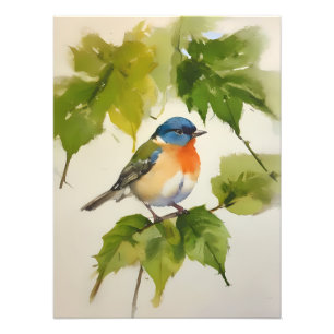 Bunter kleiner Vogel auf einem blätterreichen Ast Fotodruck