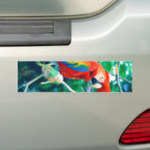 Bunter Macaw Autoaufkleber (Auf Auto)