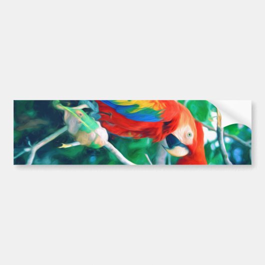 Bunter Macaw Autoaufkleber (Vorne)