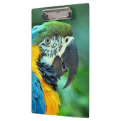 Bunter Macawpapagei Klemmbrett (Links)