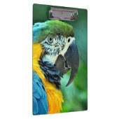 Bunter Macawpapagei Klemmbrett (Rechts)