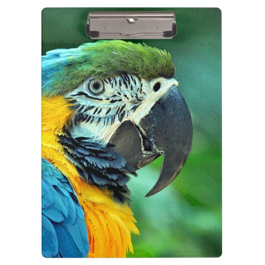 Bunter Macawpapagei Klemmbrett (Vorderseite)