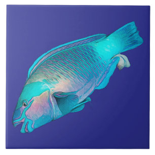 Bunter Papageienfisch Ozeanblaues Meer Fliese