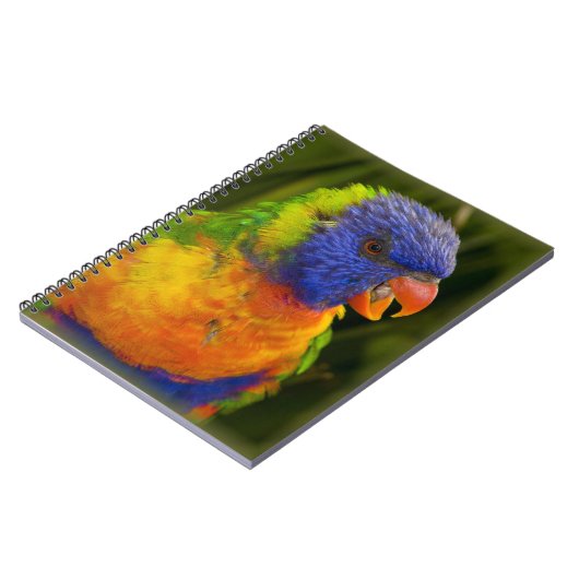 Bunter Parakeet Notizblock (Linke Seite)