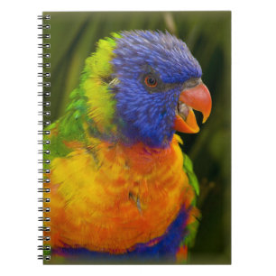 Bunter Parakeet Notizblock