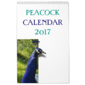 Bunter Pfau 2017 Kalender (Titelbild)