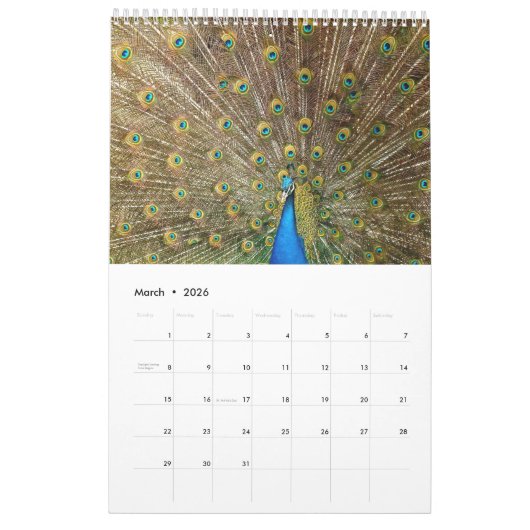 Bunter Pfau 2017 Kalender (Mär 2026)