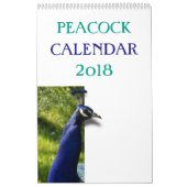Bunter Pfau 2017 Kalender (Titelbild)