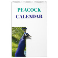 Bunter Pfau 2019