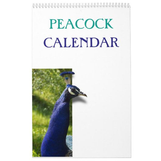 Bunter Pfau 2025 Kalender (Titelbild)