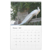 Bunter Pfau 2025 Kalender (Feb 2027)