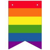 Bunter Regenbogen-Flaggen-Gay Pride Wimpelkette (Zweite Fahne)