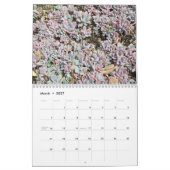 Bunter saftiger Ausbreitungs-Kalender Kalender (Mär 2027)