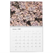Bunter saftiger Ausbreitungs-Kalender Kalender (Jan 2027)