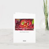 Bunter saftiger Garten Karte (Rückseite)