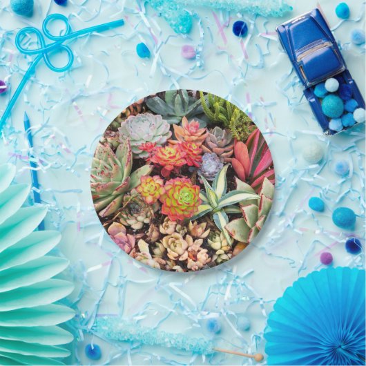 Bunter saftiger Mischungs-Pappteller Pappteller (Party)