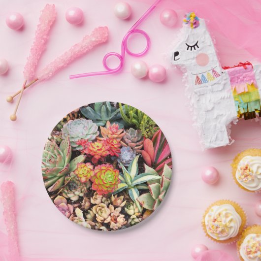 Bunter saftiger Mischungs-Pappteller Pappteller (Party)