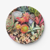 Bunter saftiger Mischungs-Pappteller Pappteller (Vorderseite)