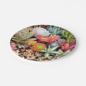 Bunter saftiger Mischungs-Pappteller Pappteller (Schrägansicht)