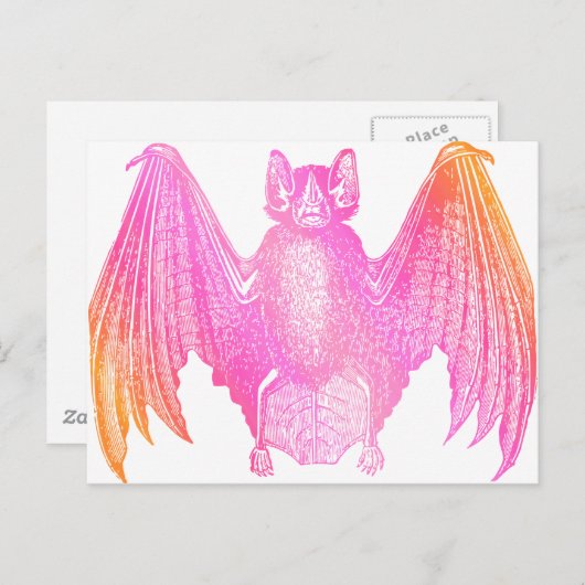 Bunter Schläger Postkarte (Vorne/Hinten)