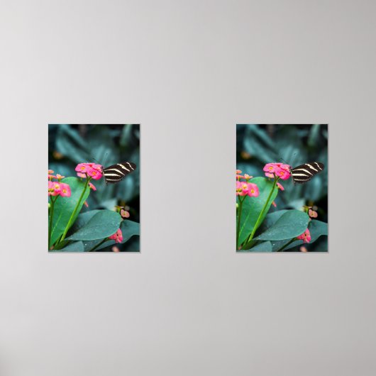 bunter Schmetterling im Garten Bilderwand Sets (Vorderseite)