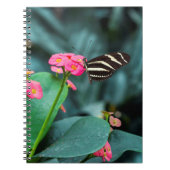 bunter Schmetterling im Garten Notizblock (Vorderseite)