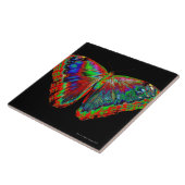 Bunter Schmetterlingsentwurf gegen schwarzen Fliese (Seite)