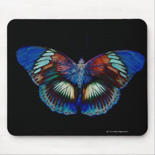 Bunter Schmetterlingsentwurf gegen schwarzen Mousepad