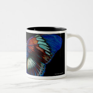 Bunter Schmetterlingsentwurf gegen schwarzen Zweifarbige Tasse