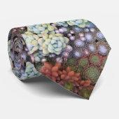 Bunter Sedum und Sempervivum Succulent Krawatte (Gerollt)