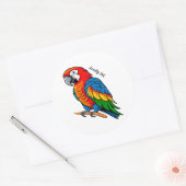 Bunter Vogel Papagei Runder Aufkleber (Umschlag)