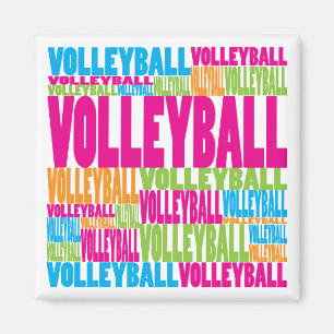 Bunter Volleyball Magnet